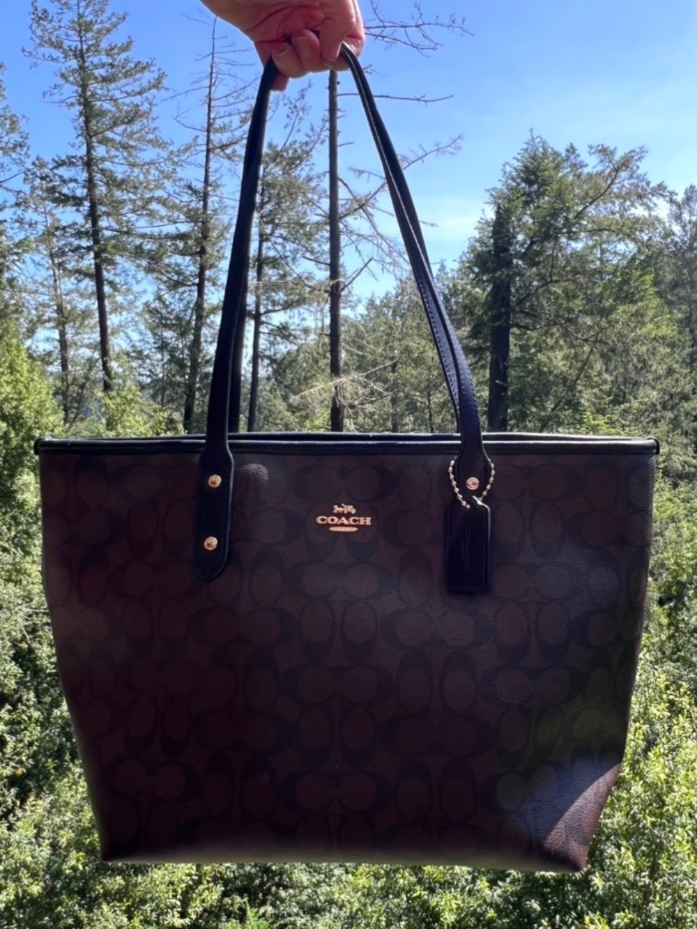 COACH Shoulder Bag Tote Signature Canvas Brown/Black w Gold Hardware AUTHENTIC